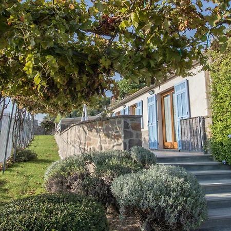 Villa Vigna Camporosso  Esterno foto